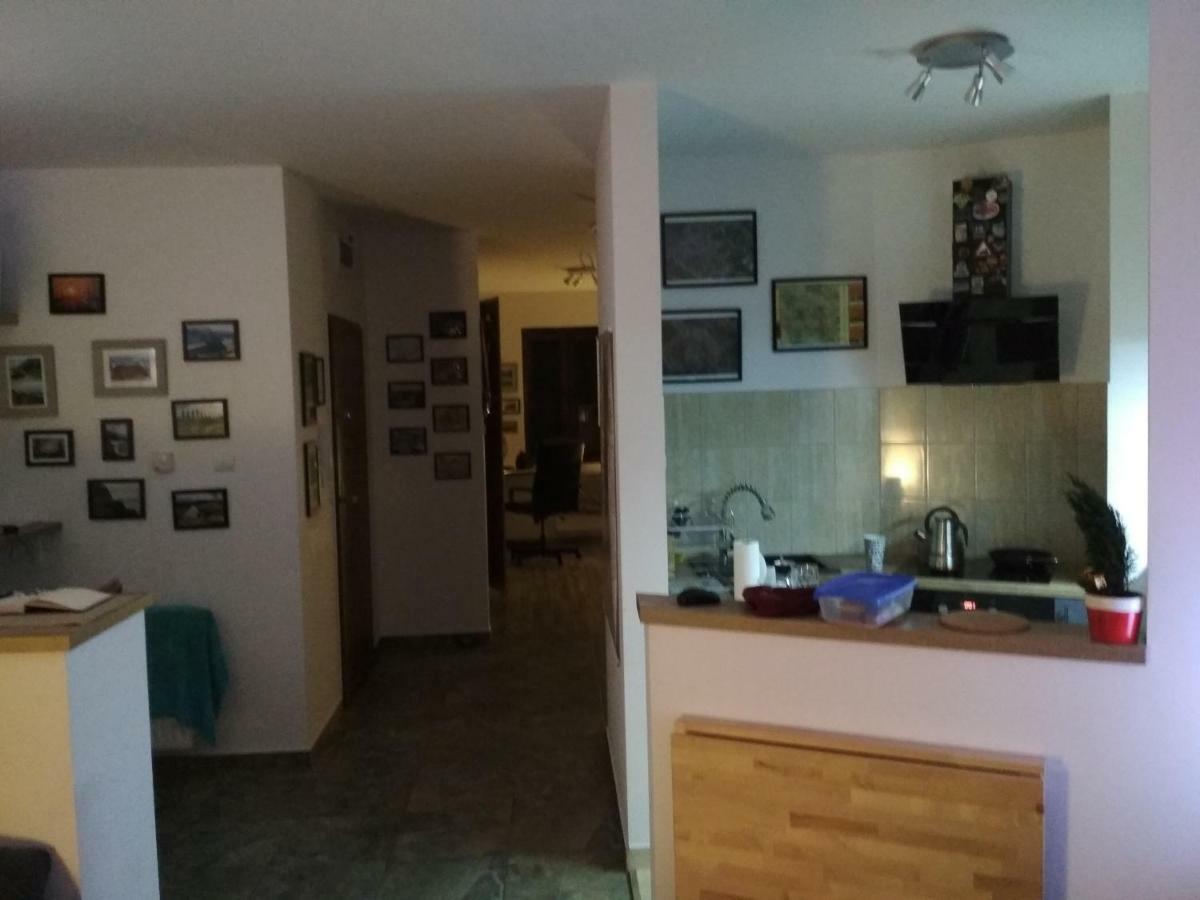 Walbrzych - Przytulne, Nowe Mieszkanie Buitenkant foto